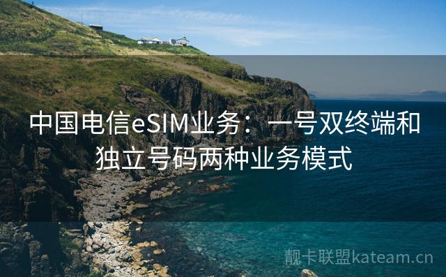 中国电信eSIM业务：一号双终端和独立号码两种业务模式