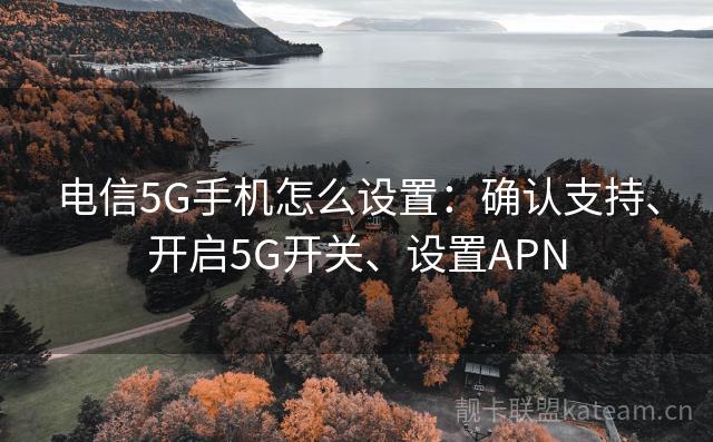 电信5G手机怎么设置：确认支持、开启5G开关、设置APN